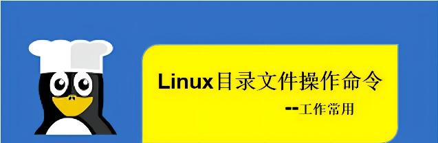 掌握DOS命令，轻松精通命令行！