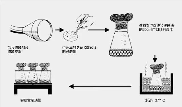 气溶胶系统属于胶体吗_气溶胶动作原理_s型气溶胶系统