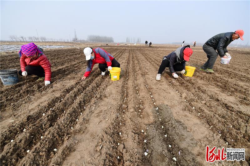 2021年蒜通天下平台_下载蒜通天下到手机并安装_蒜通天下app下载