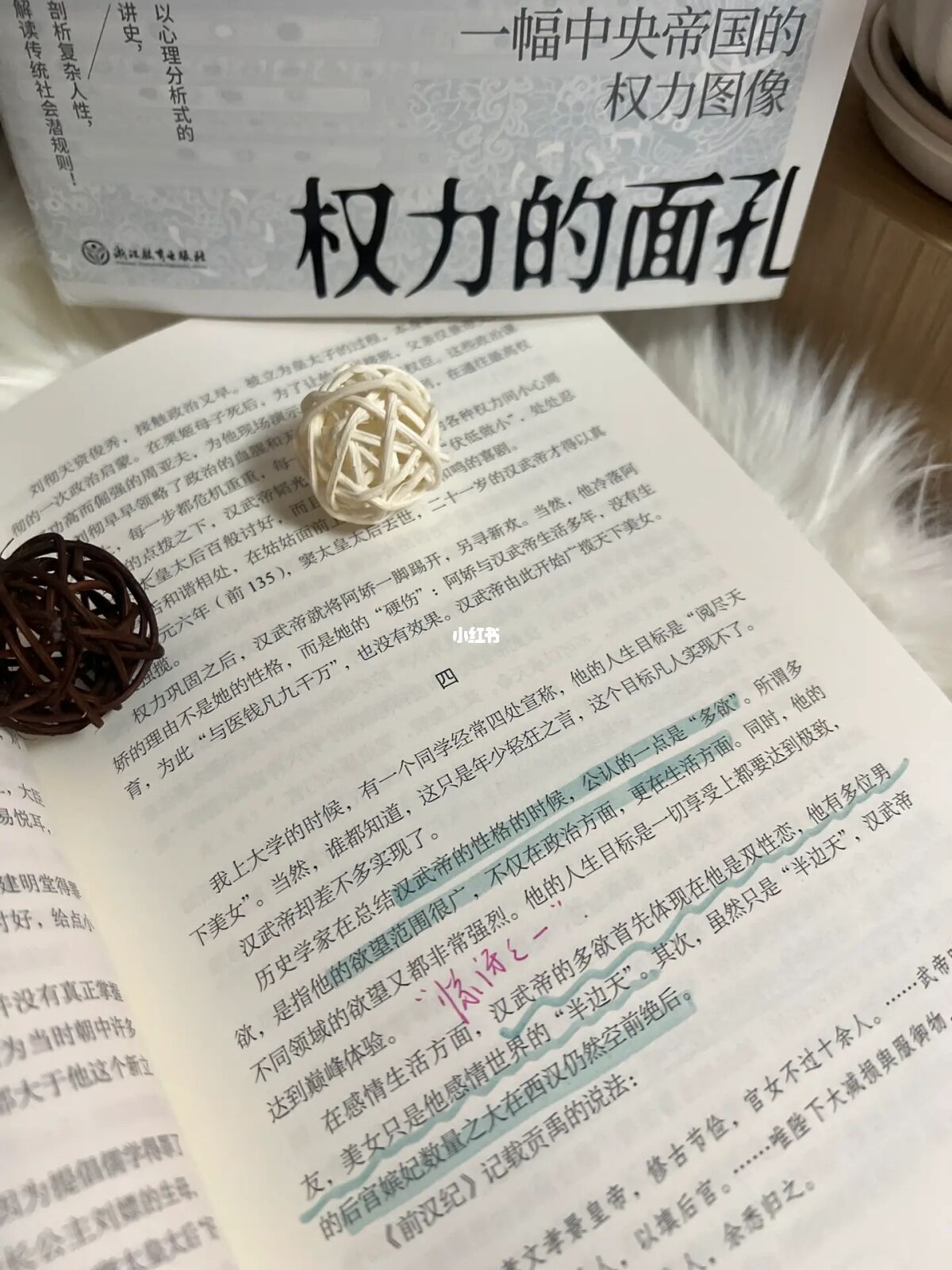 黑手命令在哪接_黑手命令任务奖励饰品_黑手的命令