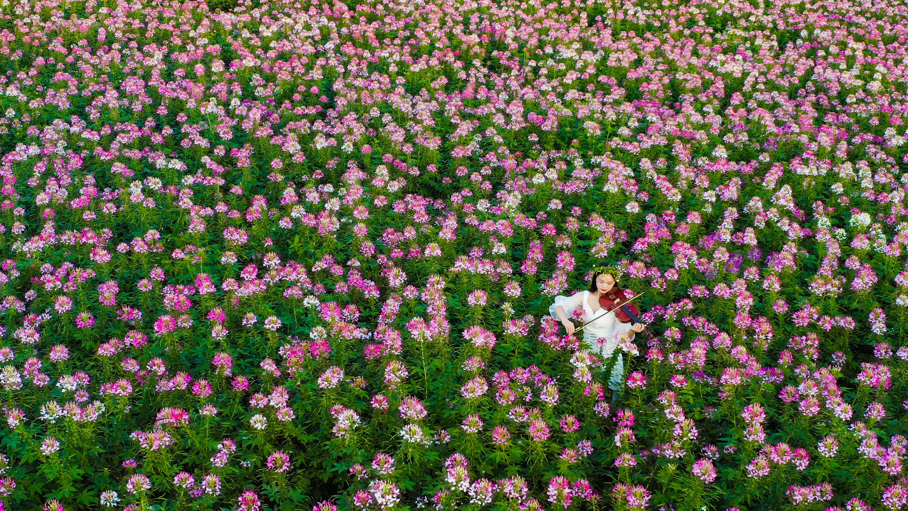 绿色风景照片手机壁纸_三联素材绿色风景照_风景绿色壁纸