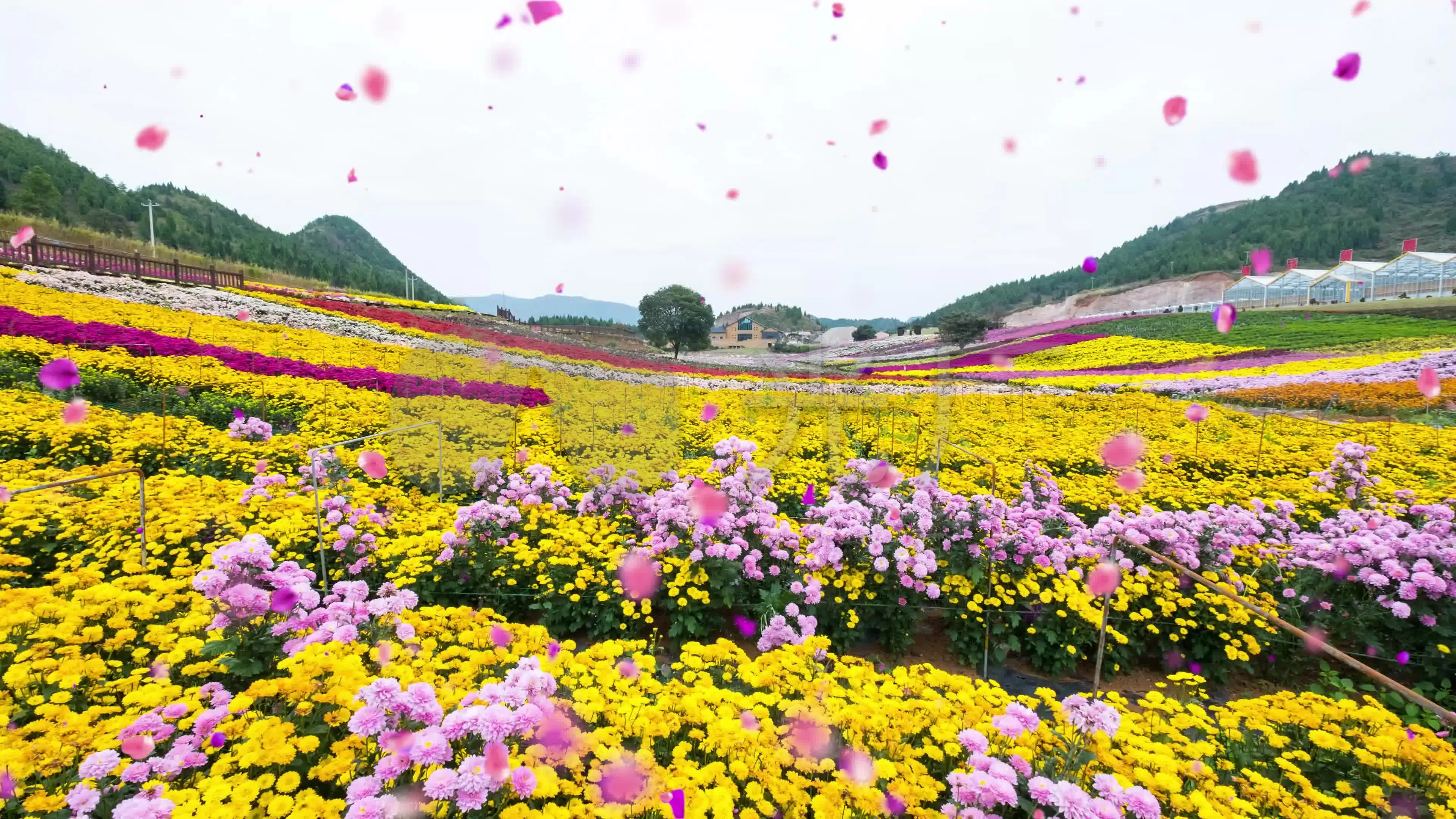 绿色风景照片手机壁纸_风景绿色壁纸_三联素材绿色风景照