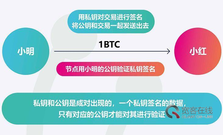 公司是我家_imtoken是哪个公司的_公司是企业吗