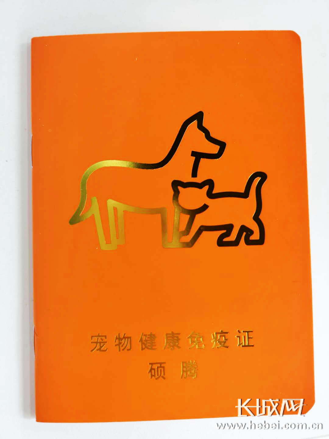 证对应身份表地区号怎么填_身份证对应的地区_身份证号地区对应表