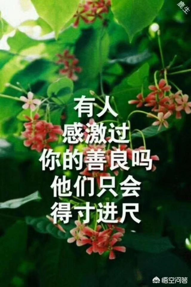 多多影音_多多影音现在能用吗_多多影音下载并安装手机版