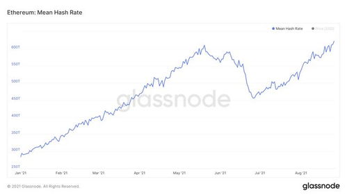 以太坊今日算力收益,今日收益概览与市场动态