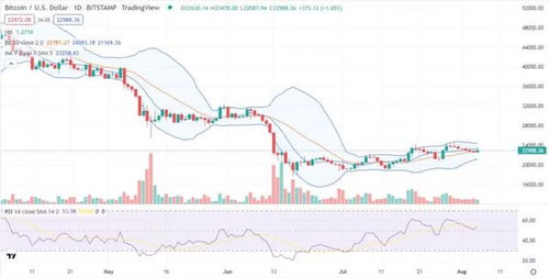 btc比特币周末分析,震荡调整中的机遇与挑战