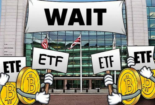 比特币etf2019,市场波动与投资者信心