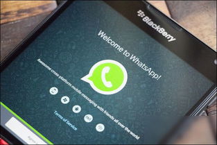 黑莓可以用WhatsApp,WhatsApp功能助力沟通新体验