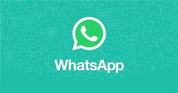 多伦多求职加whatsapp,利用WhatsApp拓展职业网络