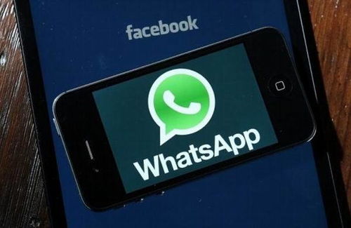 打国外电话whatsapp,WhatsApp助力国际电话通话