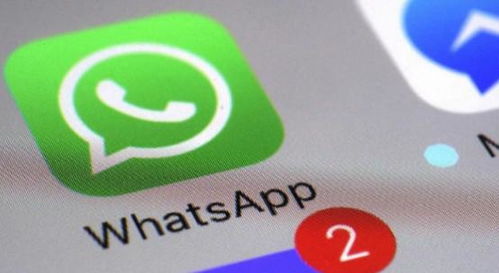 电话号码更改 whatsapp,新功能助您无缝过渡与通知联系人