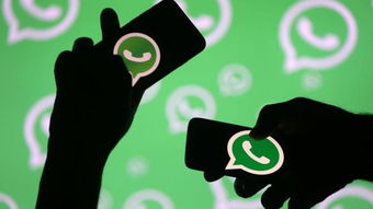 俄罗斯whatsapp能付款吗,俄罗斯WhatsApp支付使用指南