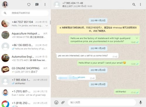 大陆使用whatsapp如何设置,揭秘VPN助力下的WhatsApp使用技巧”