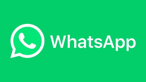 国内能注册whatsapp,详细攻略与注意事项