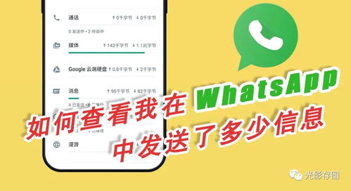 查whatsapp记录,WhatsApp记录揭示的社交秘密