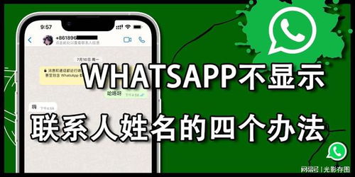 对方有没有使用whatsapp,揭示沟通习惯的洞察