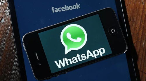 大陆禁用了whatsapp,WhatsApp禁用后的即时通讯挑战与机遇