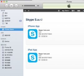 电脑版skype 下载,轻松实现高效沟通