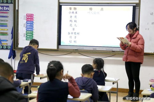 双人合作官方版下载 