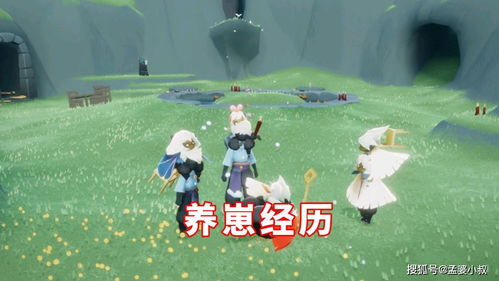 挂机养恐龙 