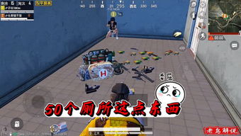 老鸟i主题 