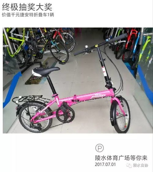 酷骑单车 