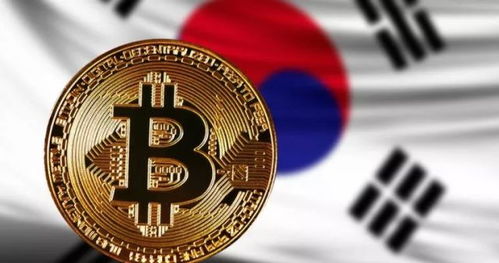 韩国民众加密货币是什么,韩国民众对加密货币的认知与投资态度概述