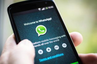 国泰法国whatsapp电话,WhatsApp电话背后的跨国沟通奥秘