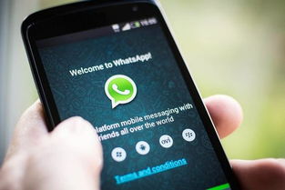 德国whatsapp开头是几,揭秘德国WhatsApp号码的神秘面纱