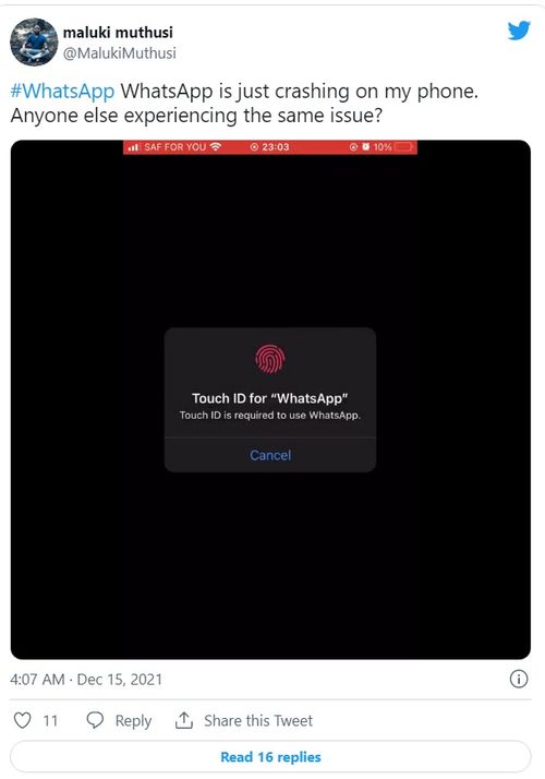 电脑版whatsapp闪退