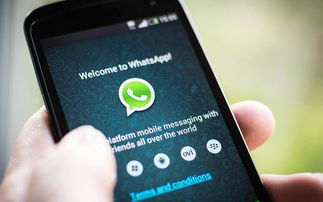 华为传送whatsapp数据,实现高效沟通