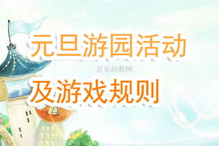填满饭盒组织者 