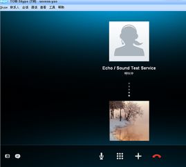 国内可以直接用skype吗,国内使用Skype的可行性与挑战解析