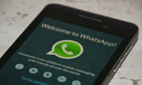 国内翻墙用WhatsApp,揭秘国内翻墙使用WhatsApp的便捷之道