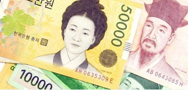 韩国兑现加密货币违法吗,韩国兑现加密货币合法性的法律探讨