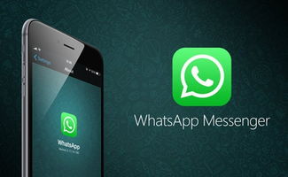 华为如何更新whatsapp,一键操作指南