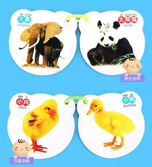 幼儿识字 