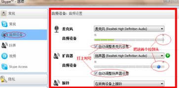 电脑板skype通话没声音,电脑板Skype通话无声音问题解析与解决