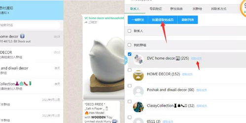 电信号码可以不可以注册whatsapp,电信号码与WhatsApp注册之间的神秘联系