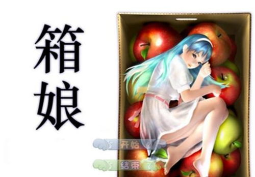灰姑娘的逃脱 