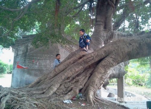中国司法案例网新版 
