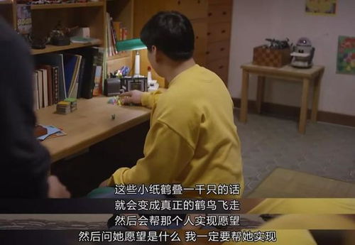 趣味猫主题游乐园手游中文版下载 