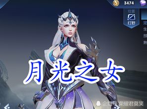 露娜开放式厨房游戏手机版 