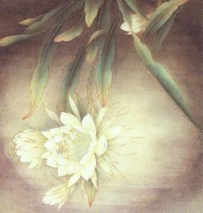 椿之歌游戏下载 