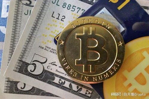 多少种加密货币,市场动态与投资前景