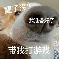 松子聊天官方版 